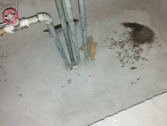 红旗卫生间测漏水价格明细