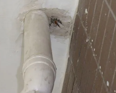 红旗漏水检测哪家好